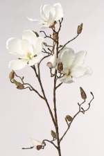 Magnoliatak met 3 bloemen, 13 knoppen, 87cm b